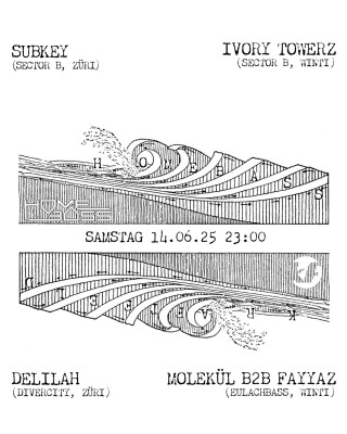 Homebass, Ivory Towerz (Sector B, Winti), Subkey (Sector B, Zürich), Delilah (Divercity, Zürich), Molekül b2b Fayyaz (Eulachbass, Winti)