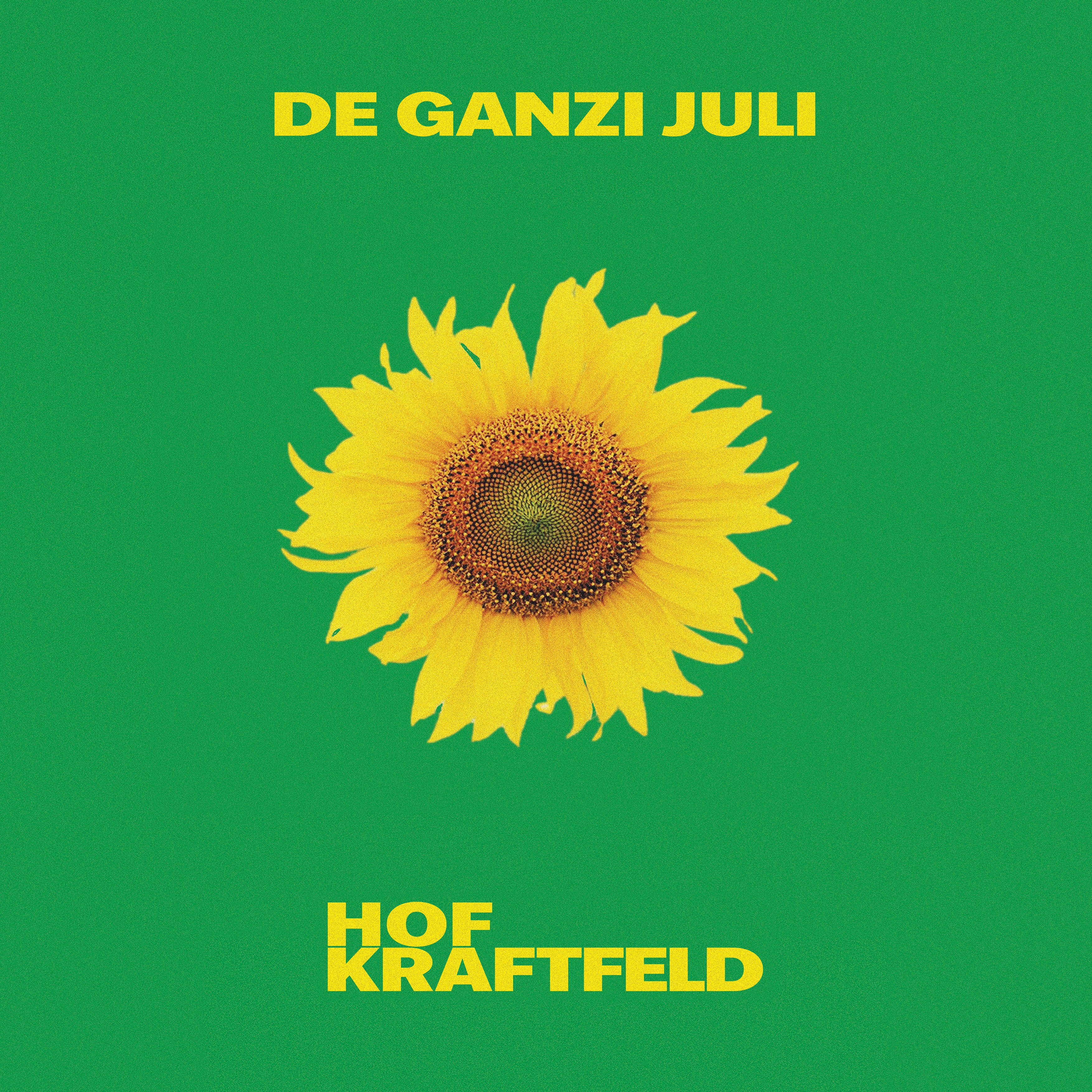 HOF KRAFTFELD