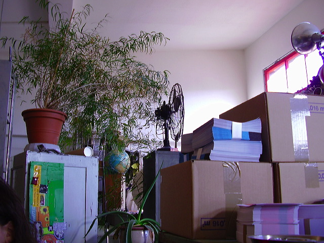 p1010036.jpg