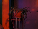kf_pano_mitte_1