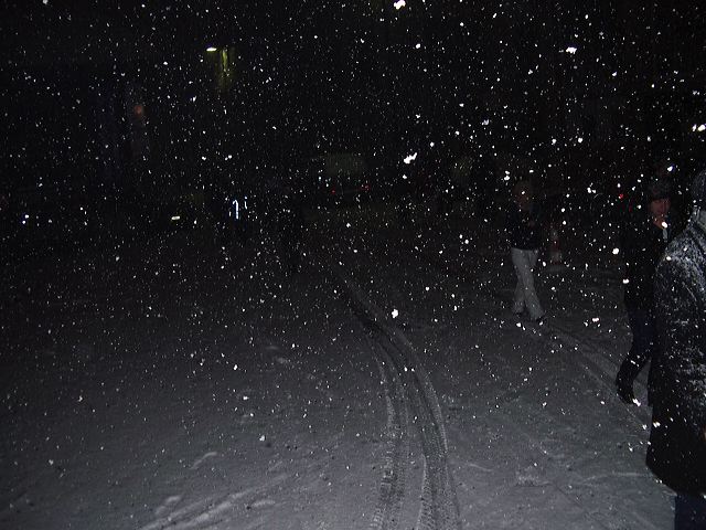 imgp2264.jpg