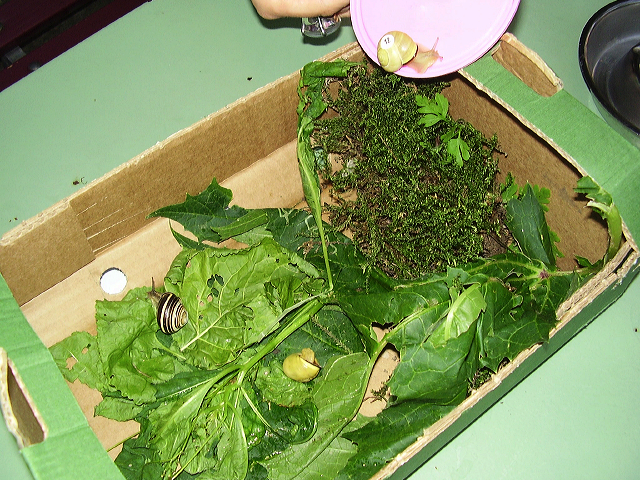 p6200111.jpg