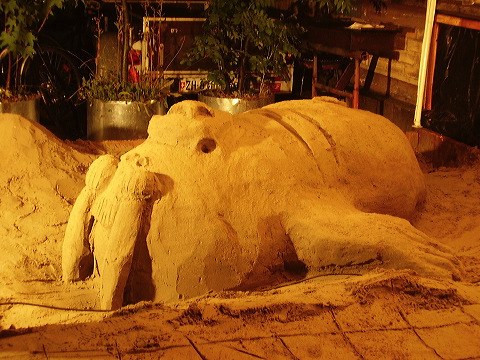 p7100006.jpg