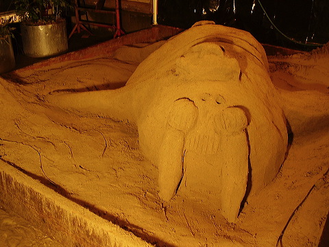 p7100008.jpg