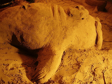 p7100011.jpg