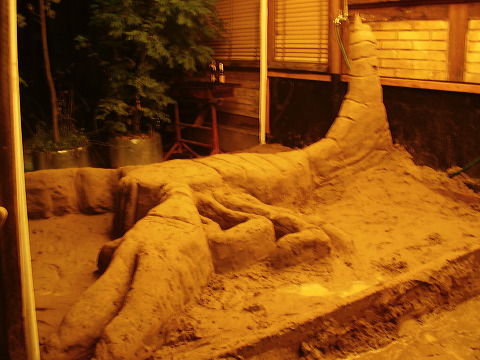 p8090011.jpg