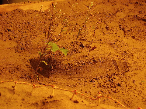 p7260024.jpg