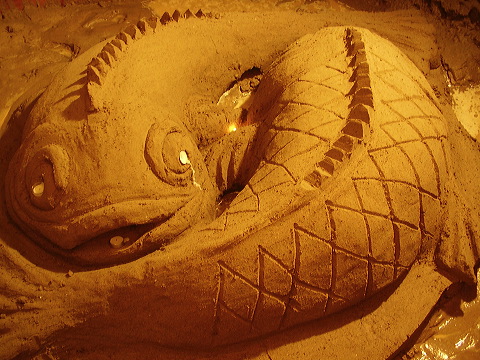p8080006.jpg