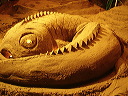 p8080008