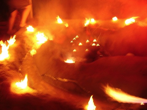 p7260001.jpg