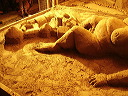 p7310020