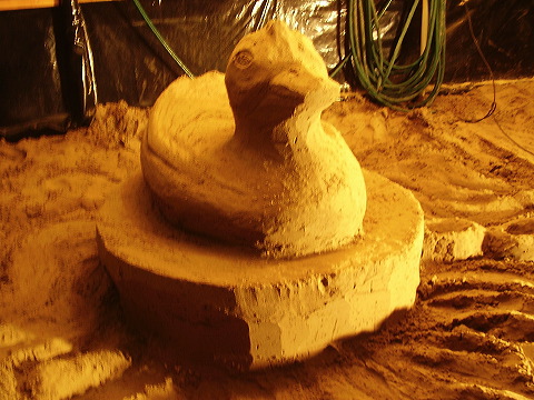 p7250016.jpg