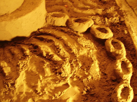 p7250017.jpg
