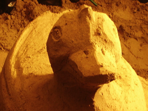 p7250019.jpg