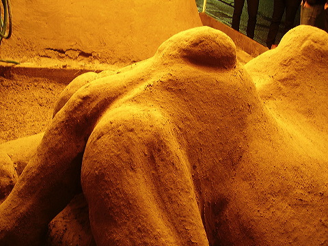 p8020027.jpg