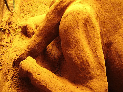 p8020028.jpg