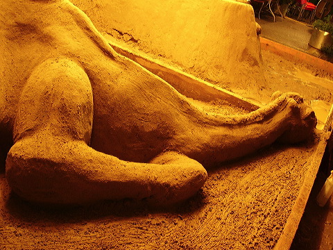 p8020029.jpg