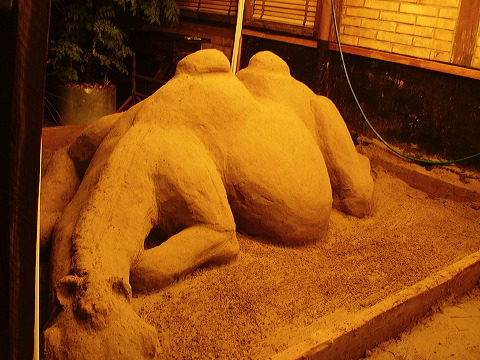 p8020032.jpg