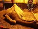p8020023
