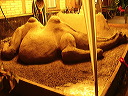 p8020025