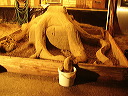 p7240021