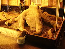 p7240026