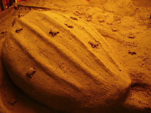 p8070027.jpg