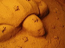 p8070033