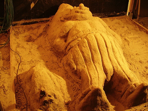 p7110019.jpg