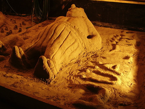 p7110022.jpg