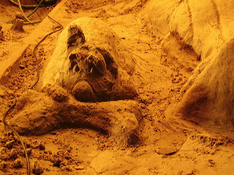 p7110028.jpg