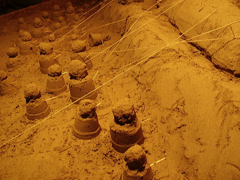p7110012.jpg