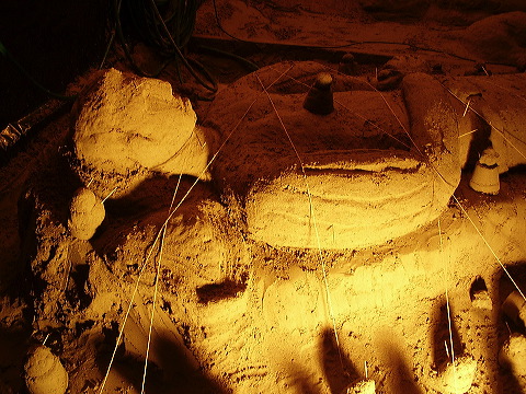 p7110014.jpg