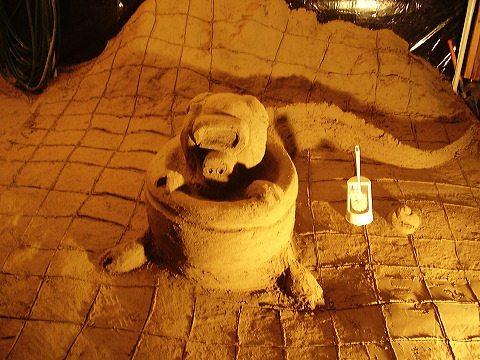 p7100044.jpg