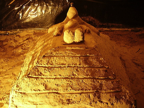 p7250005.jpg