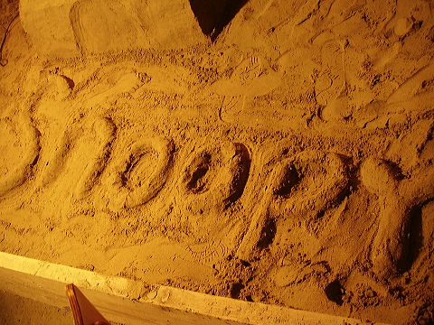p7250009.jpg