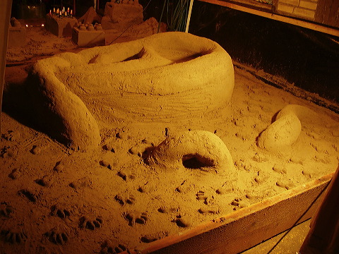 p7190012.jpg