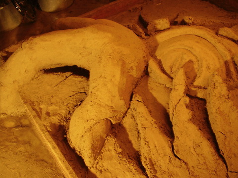 p7240034.jpg