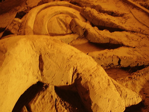 p7240039.jpg