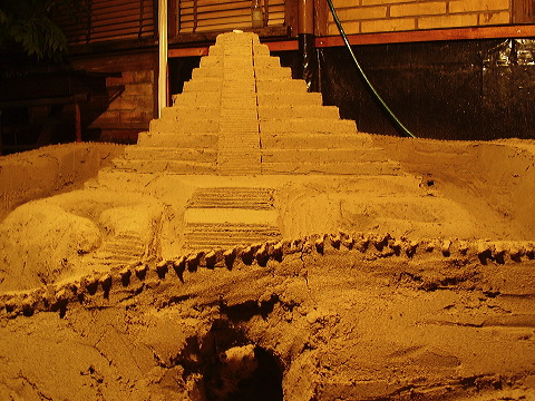 p8080018.jpg