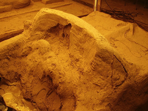 p7120026.jpg