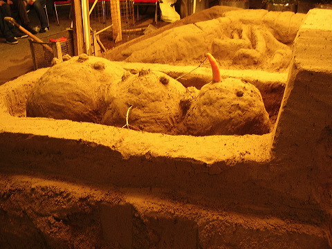 p8090001.jpg