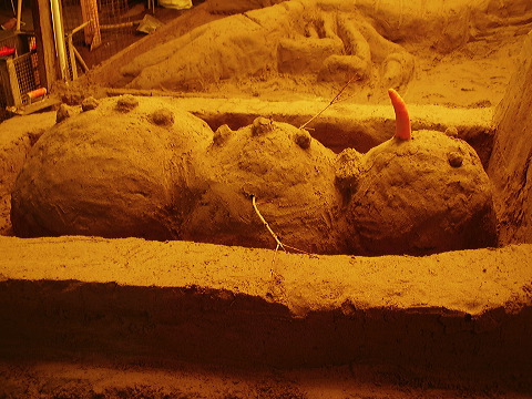 p8090004.jpg