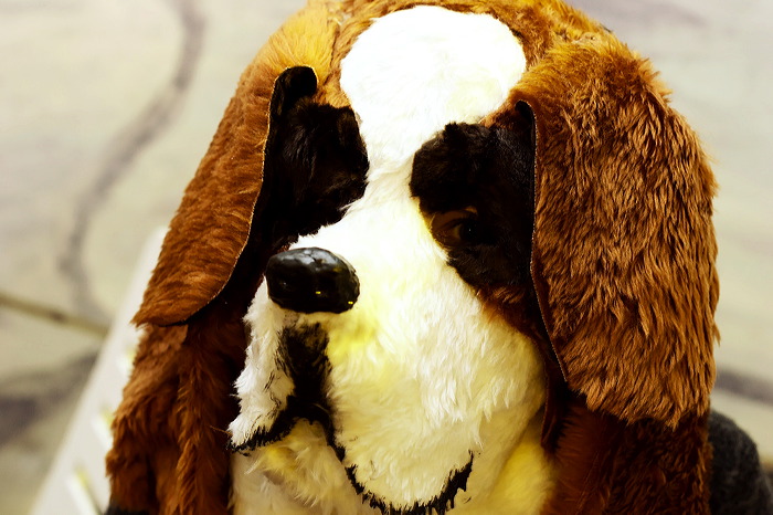 wisowe_07_6120.jpg