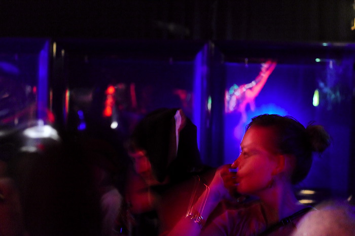 sosowe08ni_3803.jpg