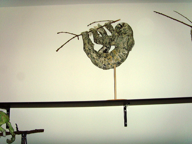 snv31298.jpg
