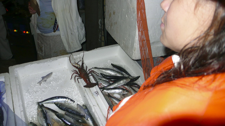kf_sowe09_53.jpg