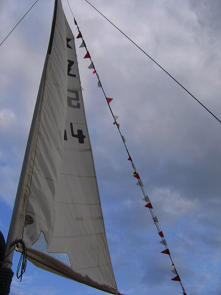 img_2239.jpg