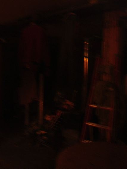 p3110071.jpg