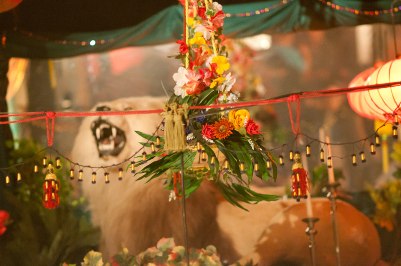 2011-sosowe-773.jpg